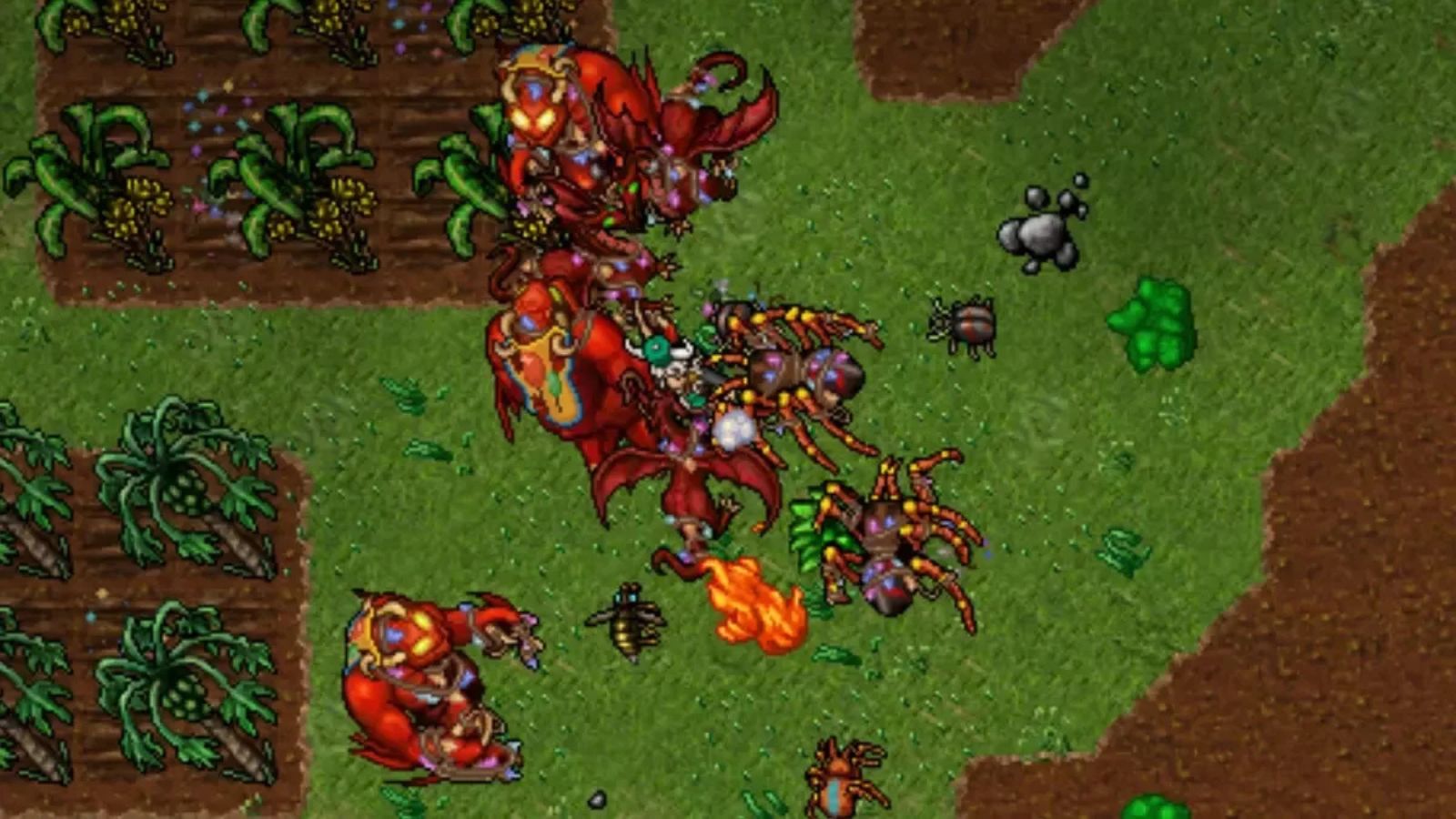 Onda de Banimentos em Tibia Deleta Personagem de Nível 2052