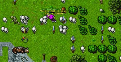 Tibia: Quem é o jogador que investiu quase R$ 500 mil em personagens de nível 2000 7 tibia quem e o jogador que investiu quase r 500 mil em personagens de nivel 2000